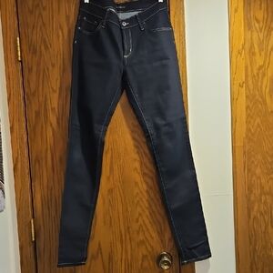 James Jeans Midnight Skinny Jeans